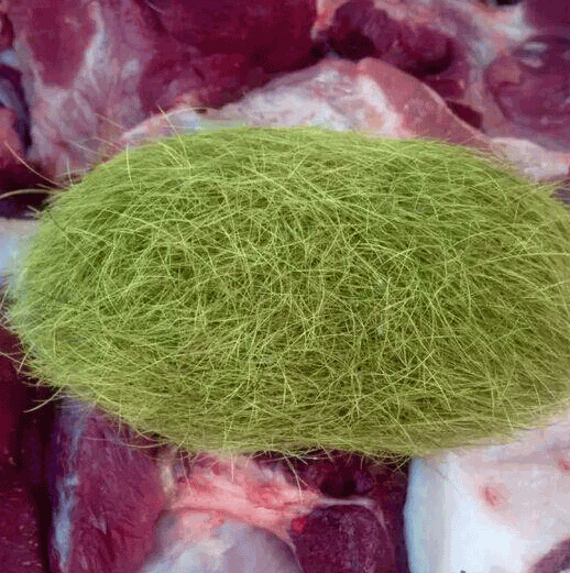 5f3dec0065460.png n3.png