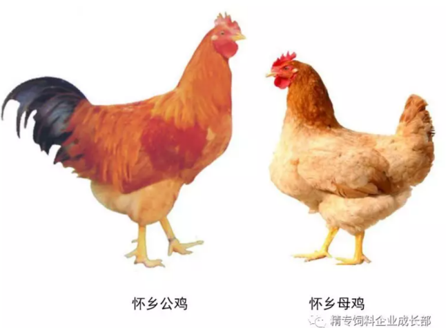 614c8e867daa8.png image.png