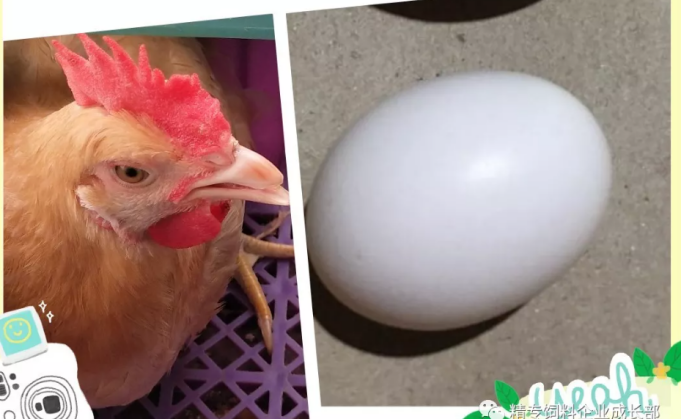 614c8f3ee5e88.png image.png